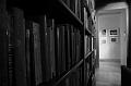Library{PhotosOnWallBy MichaelFain}